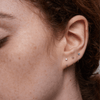New In 2 - ARDANT
