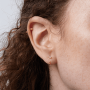 Stay Close Moissanite Hoops - ARDANT